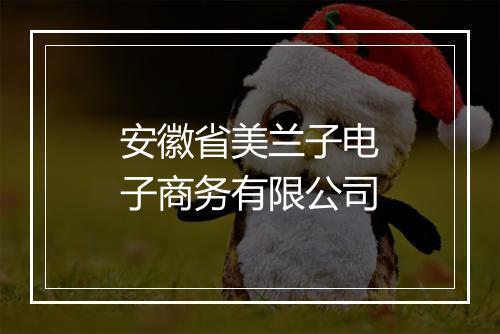 安徽省美兰子电子商务有限公司
