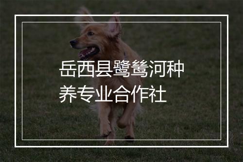 岳西县鹭鸶河种养专业合作社
