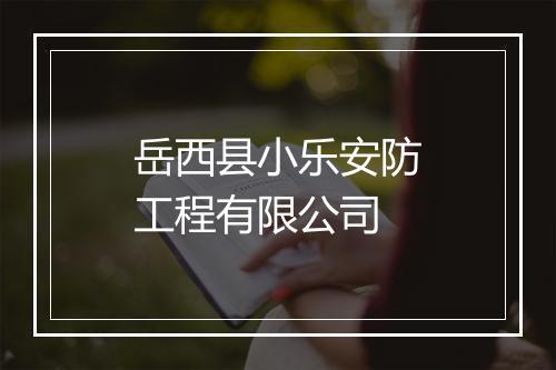 岳西县小乐安防工程有限公司