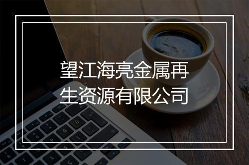 望江海亮金属再生资源有限公司