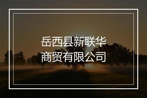 岳西县新联华商贸有限公司