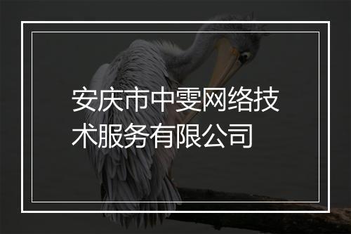 安庆市中雯网络技术服务有限公司