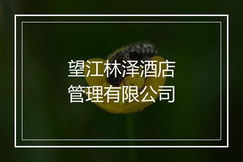 望江林泽酒店管理有限公司