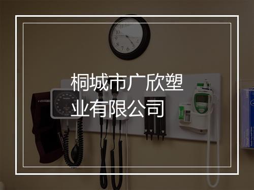 桐城市广欣塑业有限公司