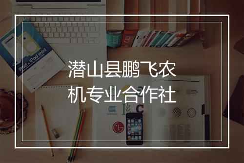 潜山县鹏飞农机专业合作社