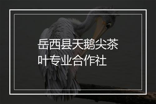 岳西县天鹅尖茶叶专业合作社