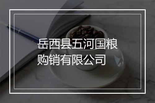 岳西县五河国粮购销有限公司