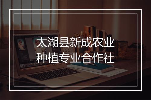 太湖县新成农业种植专业合作社
