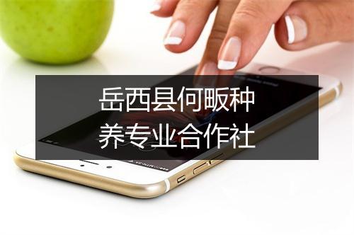 岳西县何畈种养专业合作社