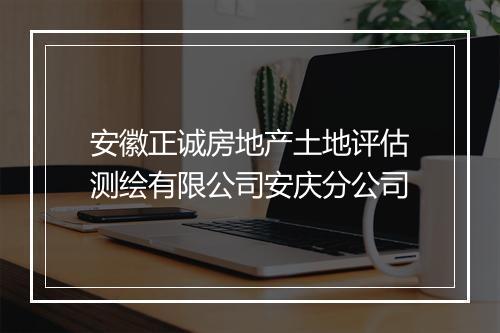 安徽正诚房地产土地评估测绘有限公司安庆分公司