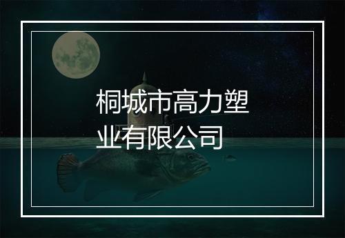 桐城市高力塑业有限公司