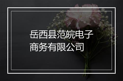 岳西县范皖电子商务有限公司
