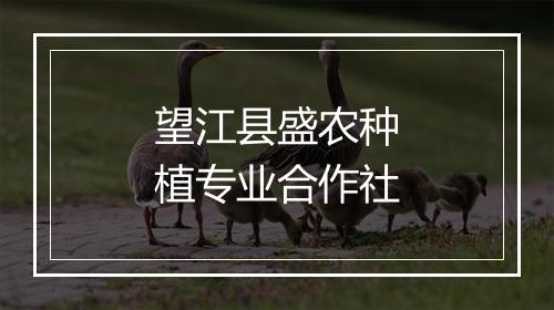 望江县盛农种植专业合作社