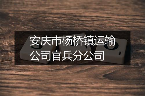 安庆市杨桥镇运输公司官兵分公司