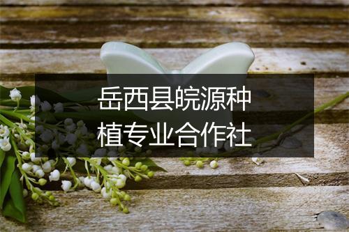 岳西县皖源种植专业合作社