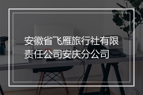 安徽省飞雁旅行社有限责任公司安庆分公司