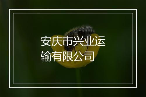 安庆市兴业运输有限公司
