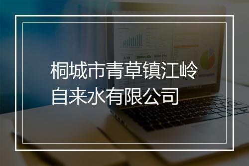 桐城市青草镇江岭自来水有限公司