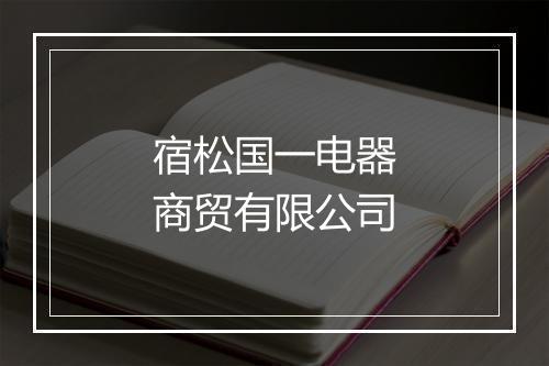 宿松国一电器商贸有限公司