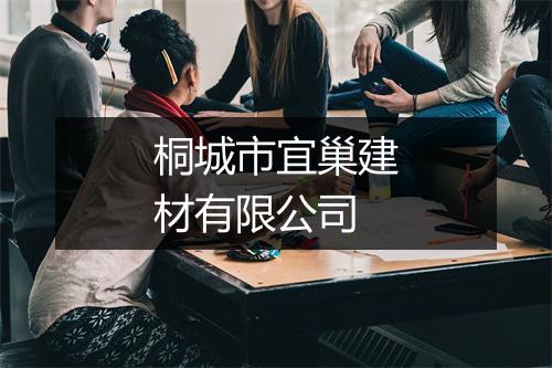 桐城市宜巢建材有限公司