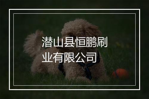 潜山县恒鹏刷业有限公司