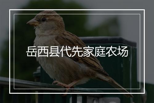 岳西县代先家庭农场
