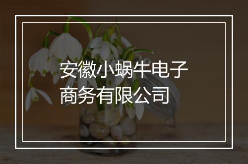 安徽小蜗牛电子商务有限公司