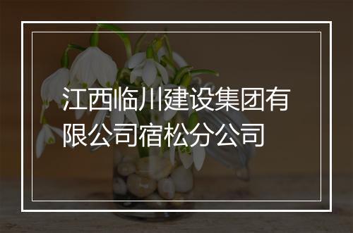 江西临川建设集团有限公司宿松分公司