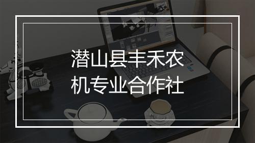 潜山县丰禾农机专业合作社