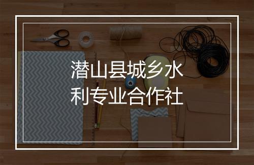 潜山县城乡水利专业合作社