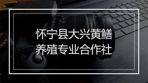 怀宁县大兴黄鳝养殖专业合作社