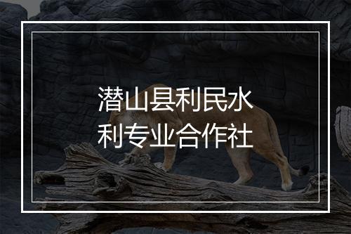 潜山县利民水利专业合作社