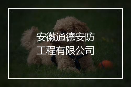 安徽通德安防工程有限公司