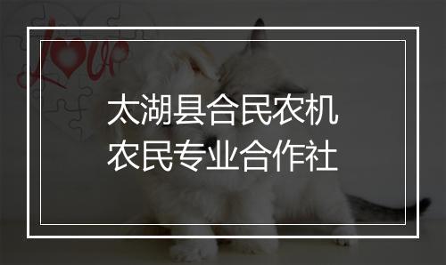 太湖县合民农机农民专业合作社