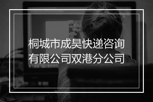 桐城市成昊快递咨询有限公司双港分公司
