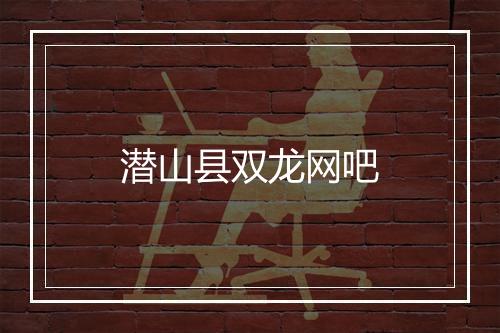 潜山县双龙网吧