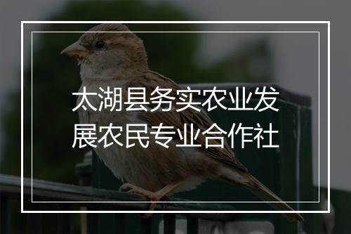 太湖县务实农业发展农民专业合作社