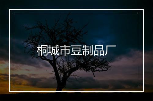 桐城市豆制品厂