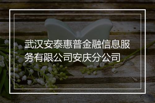 武汉安泰惠普金融信息服务有限公司安庆分公司