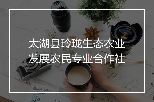 太湖县玲珑生态农业发展农民专业合作社