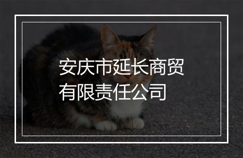 安庆市延长商贸有限责任公司