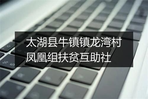 太湖县牛镇镇龙湾村凤凰组扶贫互助社