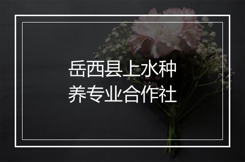 岳西县上水种养专业合作社