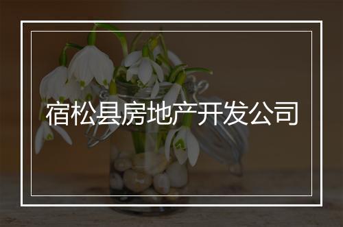 宿松县房地产开发公司