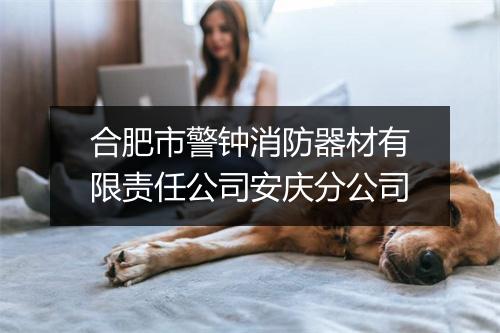 合肥市警钟消防器材有限责任公司安庆分公司
