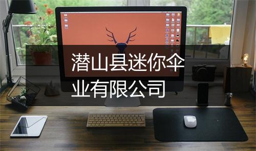 潜山县迷你伞业有限公司