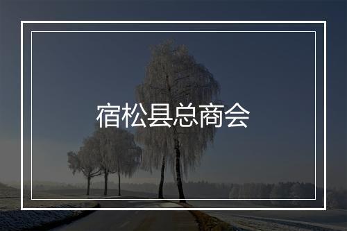 宿松县总商会