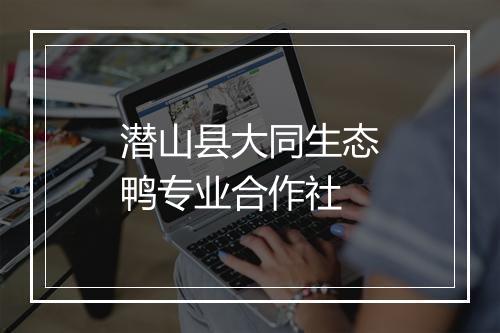 潜山县大同生态鸭专业合作社