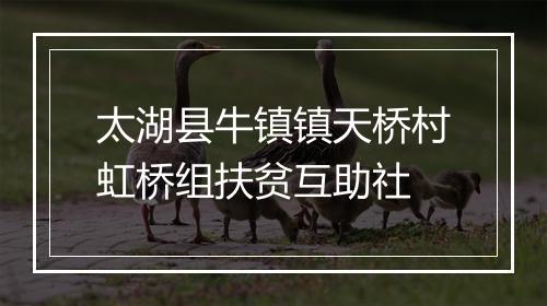 太湖县牛镇镇天桥村虹桥组扶贫互助社