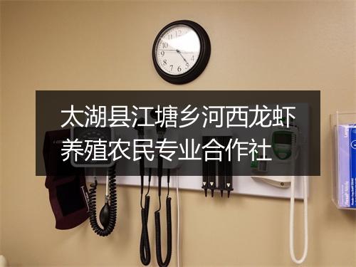 太湖县江塘乡河西龙虾养殖农民专业合作社